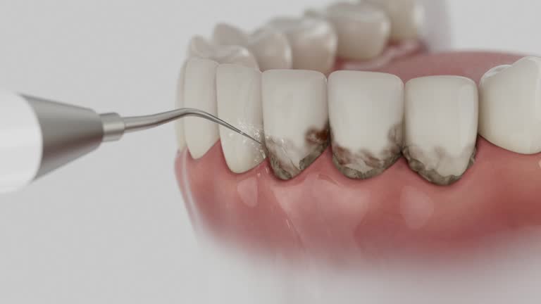 Reliable Dental contractor in Muskegon Heights, MI by Dentist Open Now